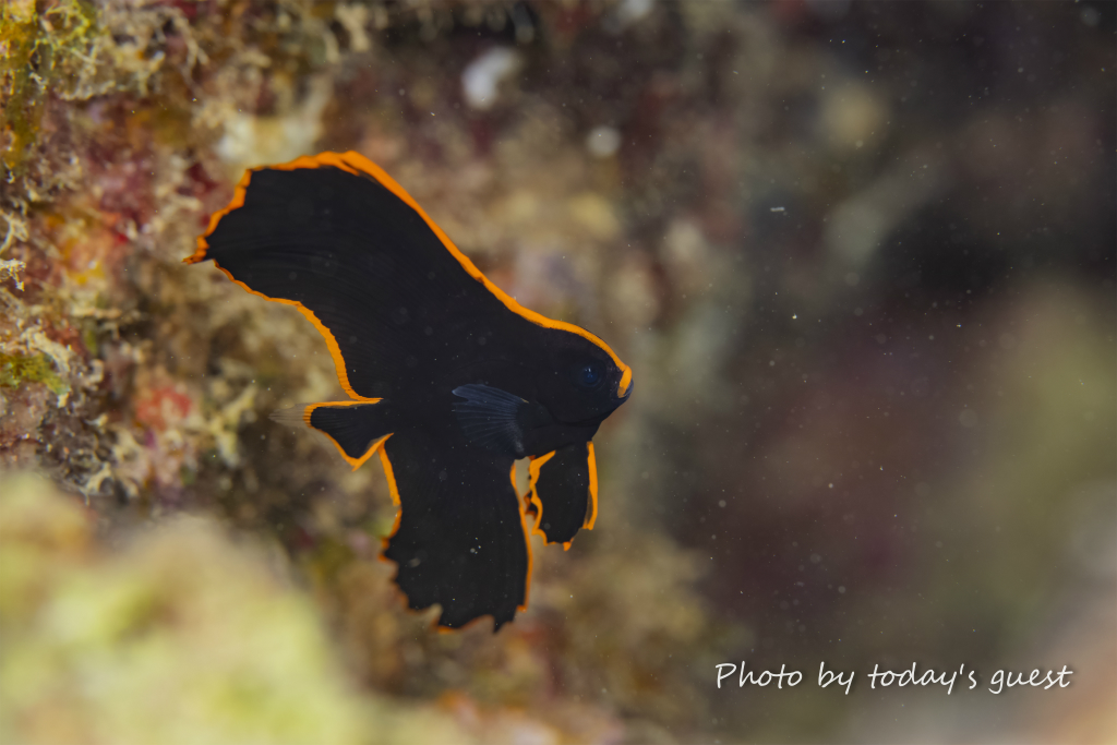 2024.8.28-ihara10.jpg 2024.8.28-ihara10.jpg